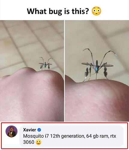 mosquito