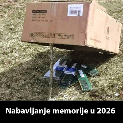 1000068806